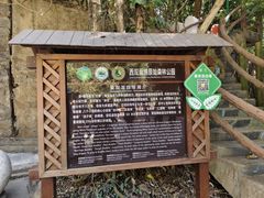 -西双版纳原始森林公园
