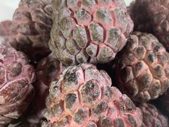 -港华水果街(港华广场店)