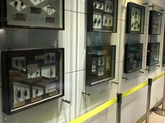 -上海昆虫博物馆