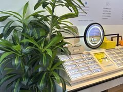 -天空之镜眼镜店蔡司依视路配镜授权零售店(望京颐堤港店)