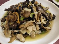 野生菌-邱二餐馆