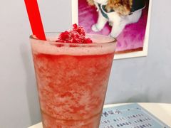 墨西哥落日-喵的天空名猫咖啡馆·撸猫·猫舍·用品