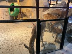 -酷嗒动物文化乐园(cutezoo西溪乐天城店)