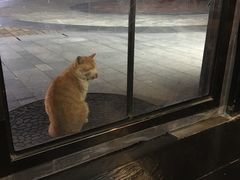 -然一素食餐厅(马利来广场店)