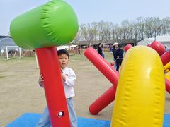 -乌村