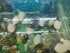 -白仁仔· 活烤海鲜 宵夜(豫园店)