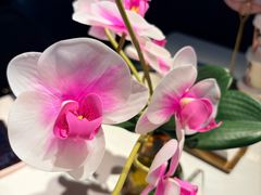 -大鸭梨烤鸭(望京店)