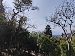 -莫干山风景区