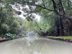 -同里国家湿地公园