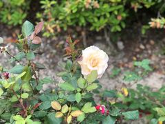 -苏州河梦清园环保主题公园