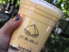 -伏小桃(明瓦廊店)