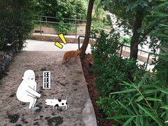 -风车面包