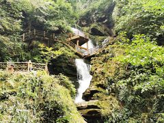 -中国大熊猫保护研究中心雅安碧峰峡基地