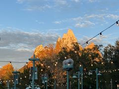 -奥兰多迪士尼动物王国乐园