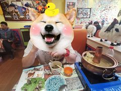 -如意林卡藏餐吧 (九寨沟店)