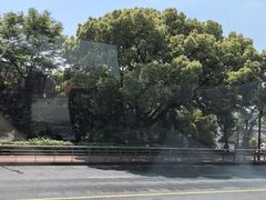-中国黄酒博物馆