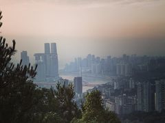 -南山植物园