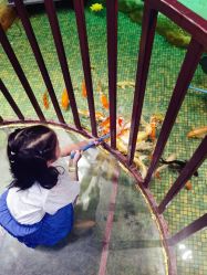 -酷嗒动物文化乐园(cutezoo西溪乐天城店)