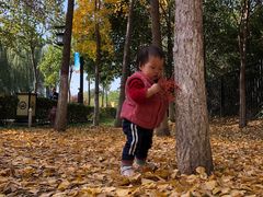 -西安汉城湖景区