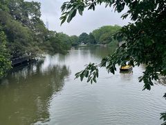 -东山湖公园