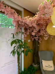 -初樱科技美学问题肌修复中心
