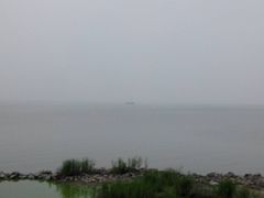 -合肥滨湖国家森林公园