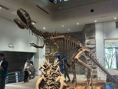 -自贡恐龙博物馆