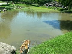 -上海野生动物园