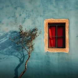 -WAVE SODA摄影工作室