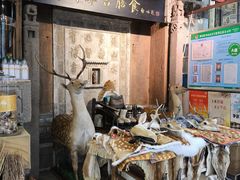 -乔家满族八大碗(中兴路店)