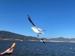 -海埂大坝