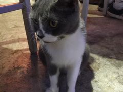 -MIKAKU(万达广场上海宝山店)