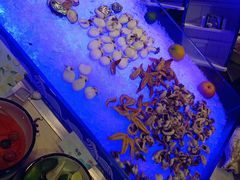 -长沙三景韦尔斯利酒店·Oval全日制餐厅自助餐