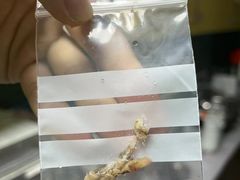 -严国平动物医院(德政总院)
