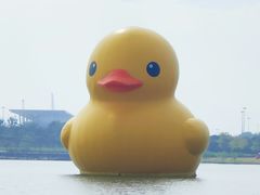 -深圳人才公园