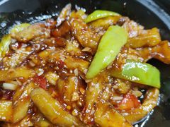 -草根堂农场