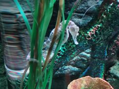 -沈阳海洋探索中心