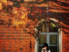 -上海佘山国家森林公园西佘山园