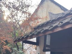 -古今茶语·峨眉山有机茶体验馆