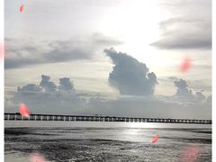 -宝安西湾红树林湿地公园