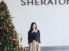 -广州奥园喜来登酒店