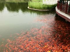-西海子公园