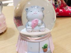 -飞行喵MR PILOT|猫舍·猫咖(静安大融城店)