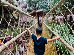 -正佳雨林生态植物园