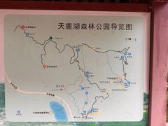 -天鹿湖森林公园