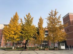 -四川大学(望江校区)