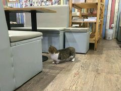 -小时光咖啡馆(开森度假森林店)