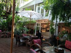 -Fern Forest Cafe