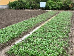 -重元寺香积厨素斋馆