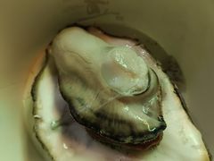 烤生蚝-小竹签烤肉纸包鱼小龙虾(唐韵路店)